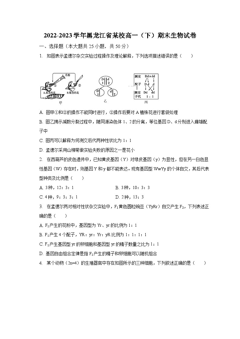 2022-2023学年黑龙江省某校高一（下）期末生物试卷（含解析）01