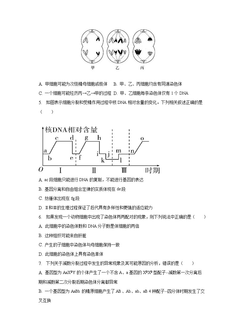 2022-2023学年黑龙江省某校高一（下）期末生物试卷（含解析）02