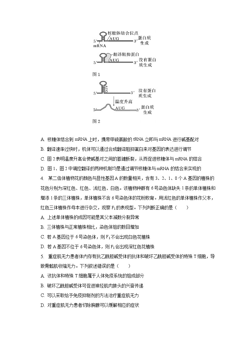 2022-2023学年湖北省恩施州高中教育联盟高二（下）期末生物试卷（含解析）02