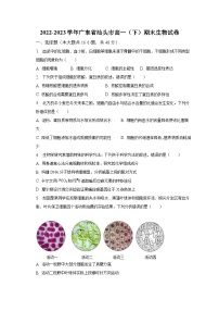 2022-2023学年广东省汕头市高一（下）期末生物试卷（含解析）