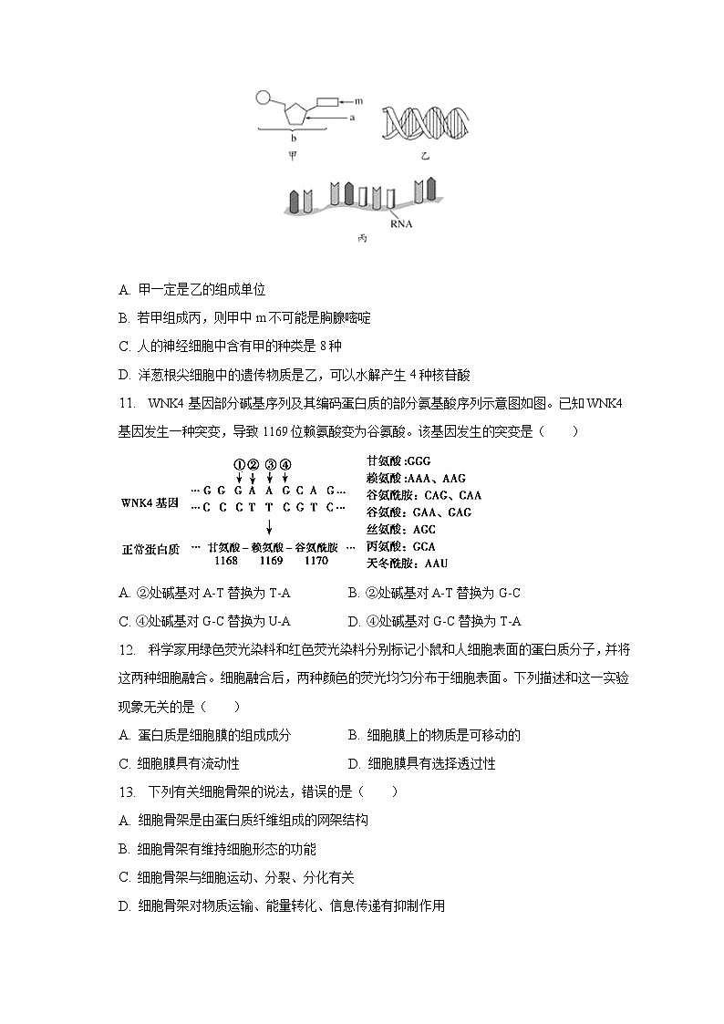 2022-2023学年云南省文山州重点中学高一（下）期末生物试卷（含解析）03