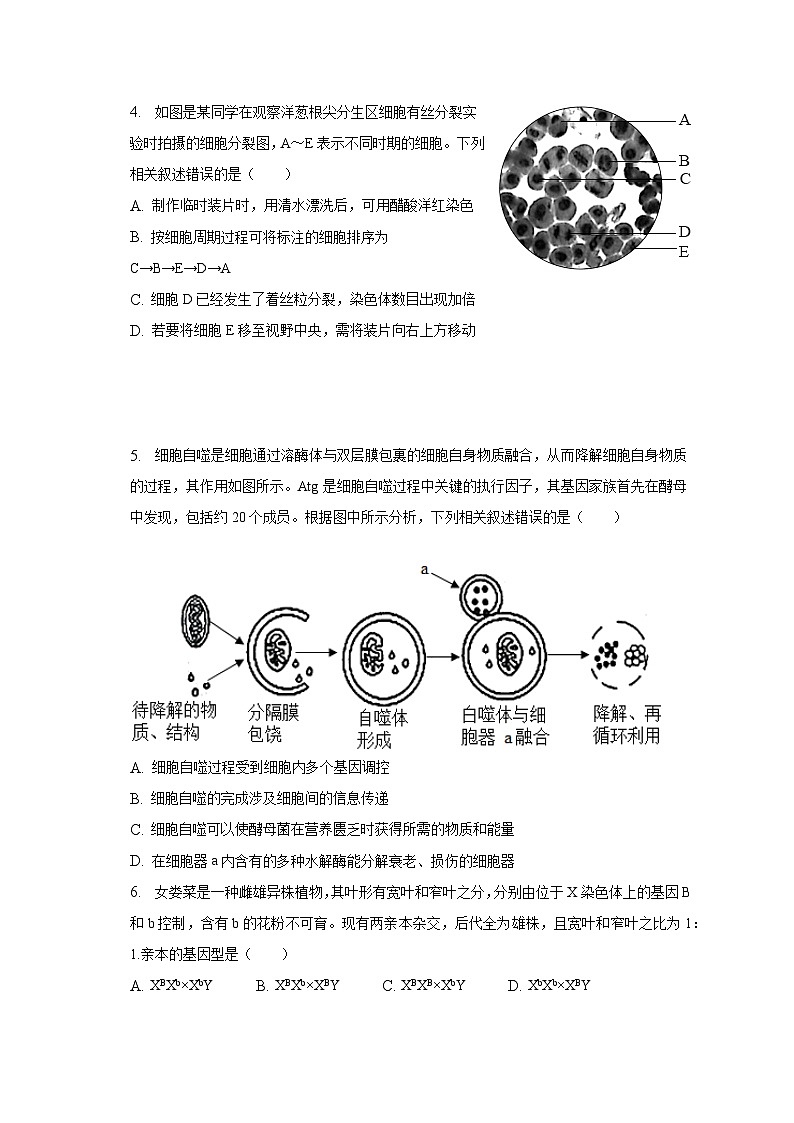 2022-2023学年安徽省滁州市高一（下）期末生物试卷（含解析）02
