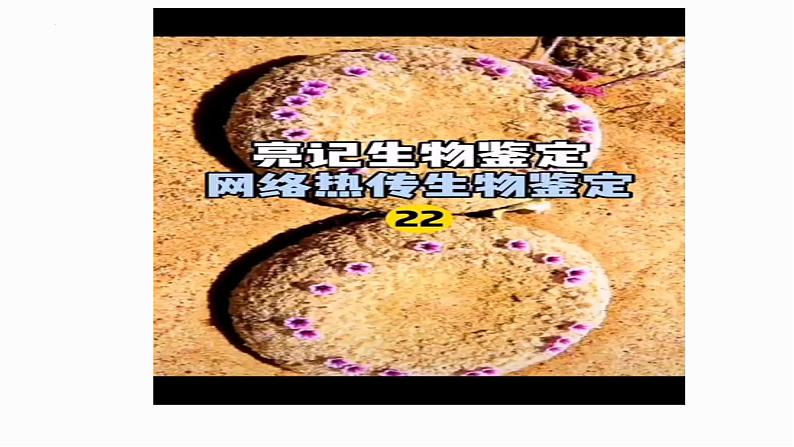 开学第一课课件-2023-2024学年高一上学期生物人教版必修101