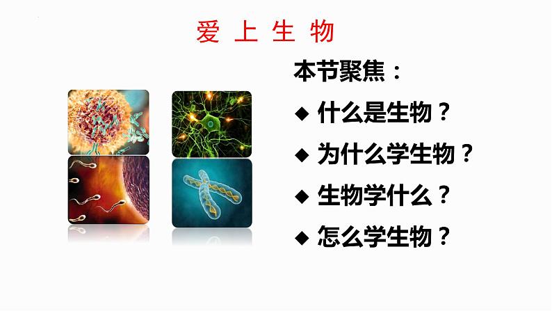 开学第一课课件-2023-2024学年高一上学期生物人教版必修103