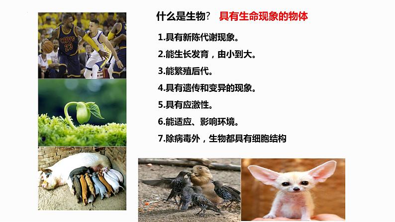 开学第一课课件-2023-2024学年高一上学期生物人教版必修104