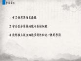 1.2 细胞的多样性和统一性课件-2023-2024学年高一上学期生物人教版必修1