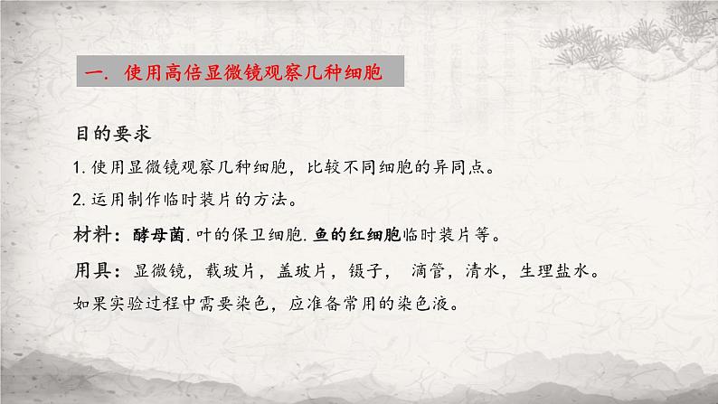 1.2 细胞的多样性和统一性课件-2023-2024学年高一上学期生物人教版必修104