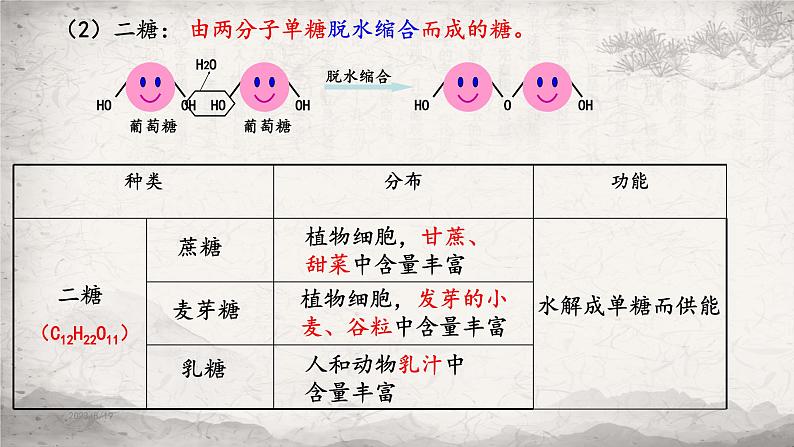 2.3 细胞中的糖类和脂质课件-2023-2024学年高一上学期生物人教版必修1第7页