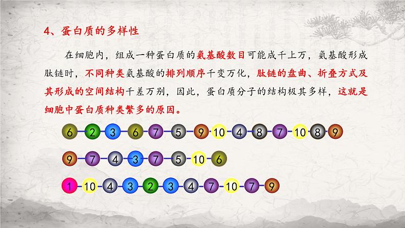 2.4蛋白质是生命活动的主要承担者课件-2023-2024学年高一上学期生物人教版必修105