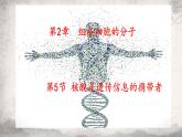 2.5 核酸是遗传信息的携带者课件-2023-2024学年高一上学期生物人教版必修1
