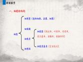 3.2 细胞器之间的分工合作课件-2023-2024学年高一上学期生物人教版必修1