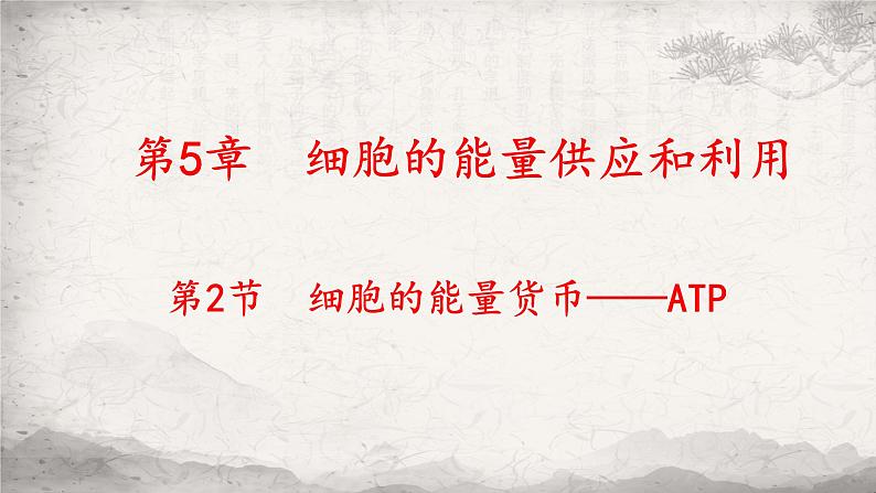 5.2细胞的能量货币ATP课件-2023-2024学年高一上学期生物人教版必修101