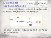 5.4.2光合作用的原理和应用课件-2023-2024学年高一上学期生物人教版必修1