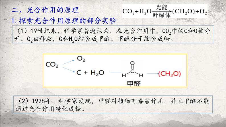 5.4.2光合作用的原理和应用课件-2023-2024学年高一上学期生物人教版必修103