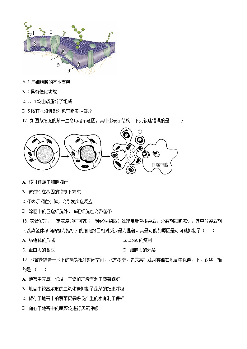 2022-2023学年度浙江省金华十校高一上学期期末生物试题03