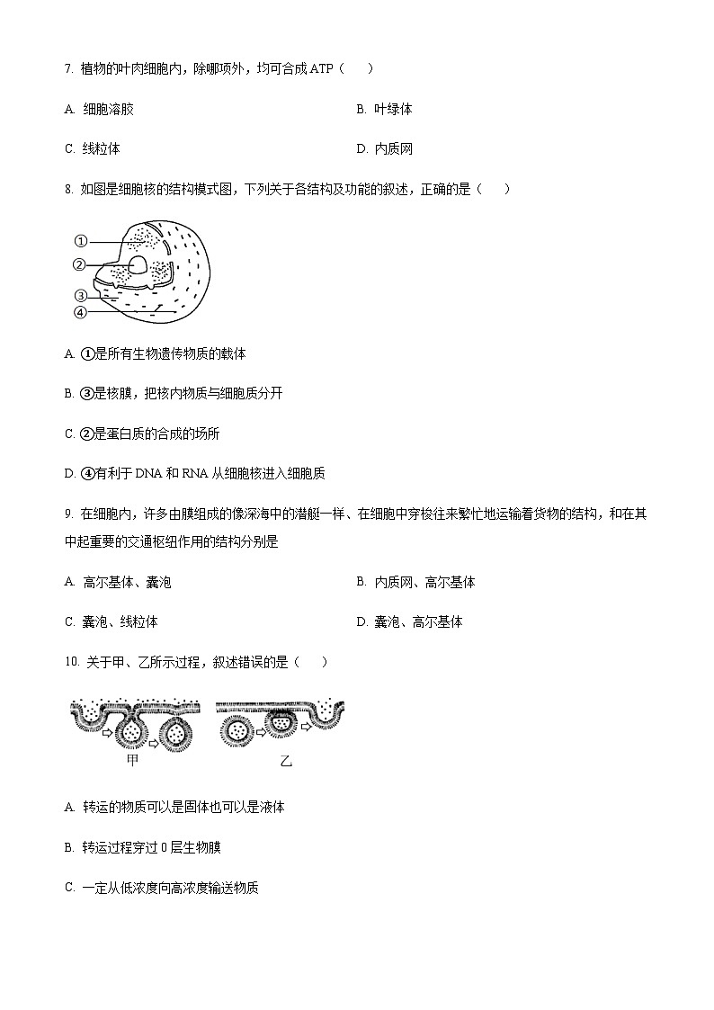 2022-2023学年度浙江省金华市一中高一11月期中生物试题02