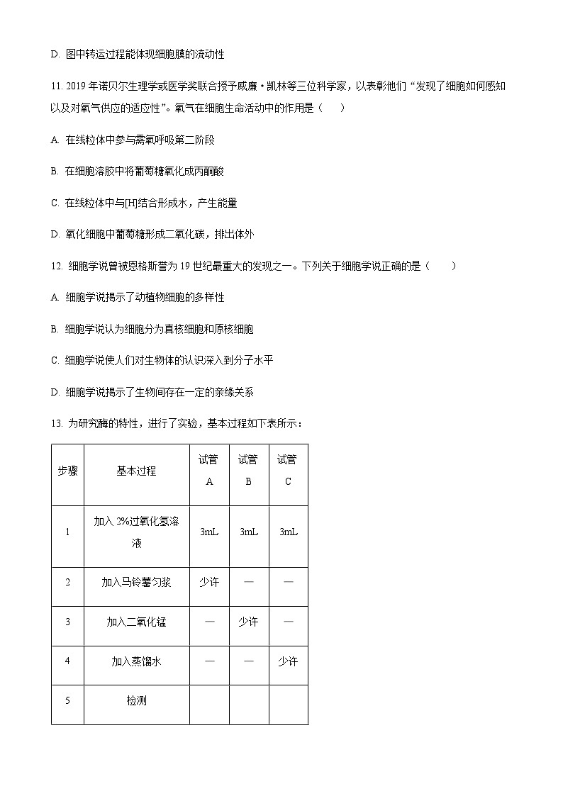 2022-2023学年度浙江省金华市一中高一11月期中生物试题03