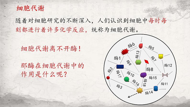 5.1 降低化学反应活化能的酶课件-2023-2024学年高一上学期生物人教版必修105