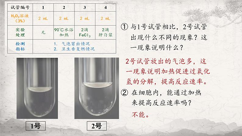 5.1 降低化学反应活化能的酶课件-2023-2024学年高一上学期生物人教版必修108