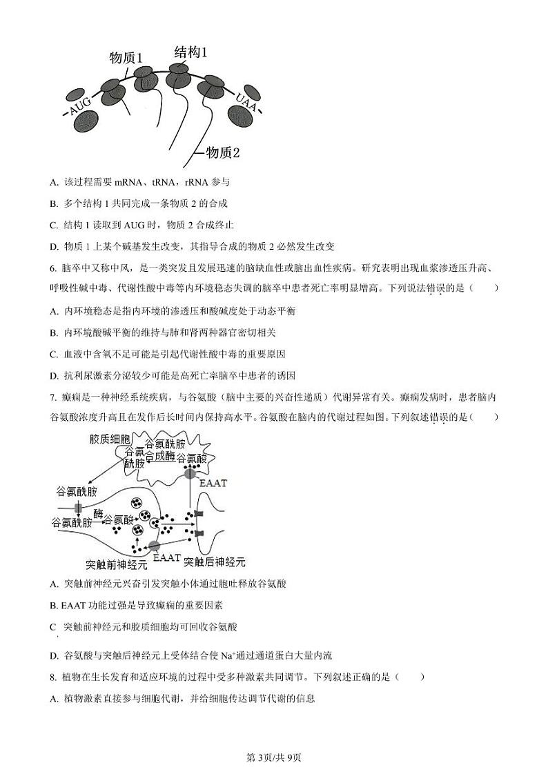 广东省六校（东莞中学、广州二中、惠州一中、深圳实验、珠海一中、中山纪念中学）2024届高三上学期第一次联考生物第3页