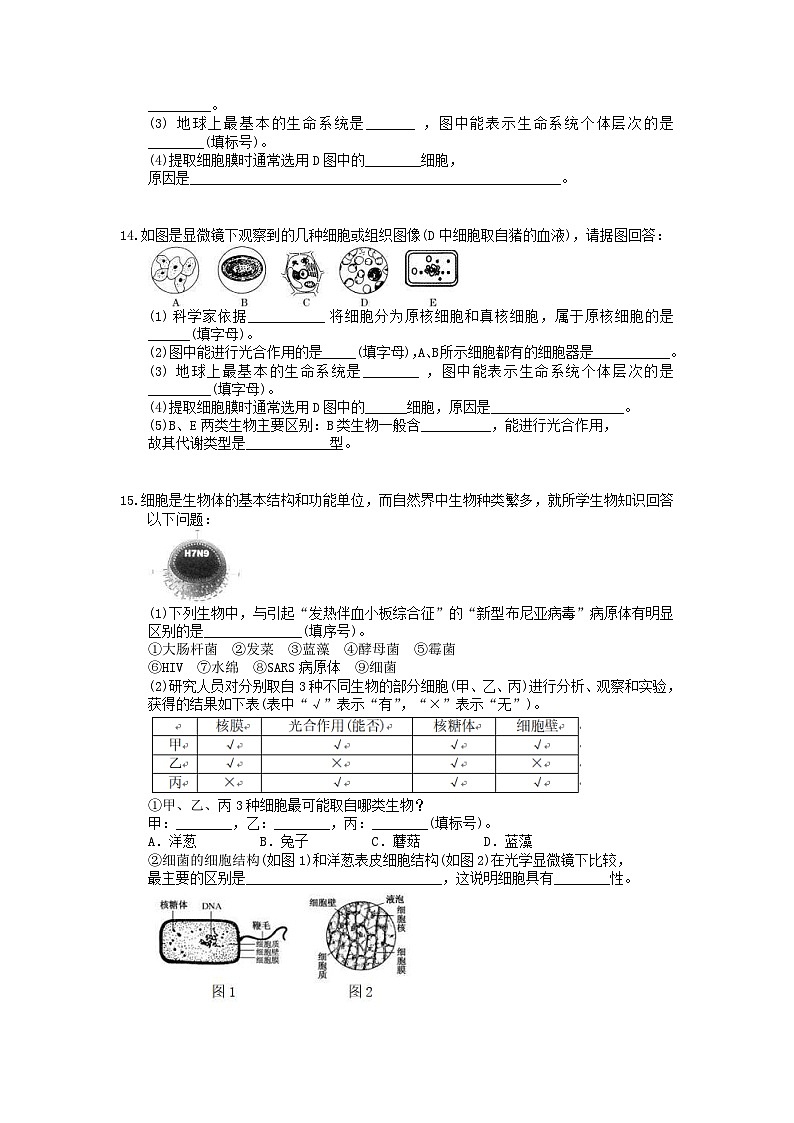 高考生物一轮复习 课后作业本01 走近细胞 (含解析)第3页