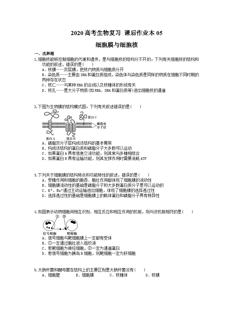 高考生物一轮复习 课后作业本05 细胞膜与细胞核 (含解析)第1页