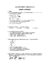 高考生物一轮复习 课后作业本06 细胞器与生物膜系统 (含解析)