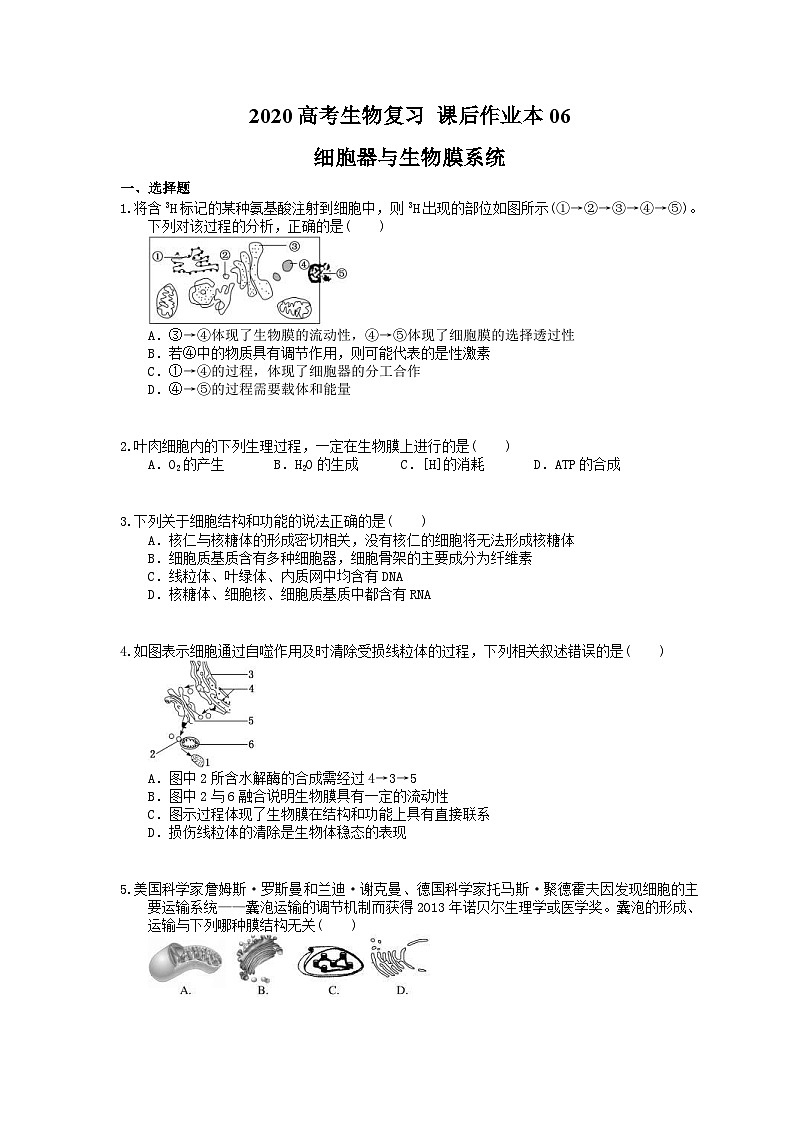 高考生物一轮复习 课后作业本06 细胞器与生物膜系统 (含解析)01