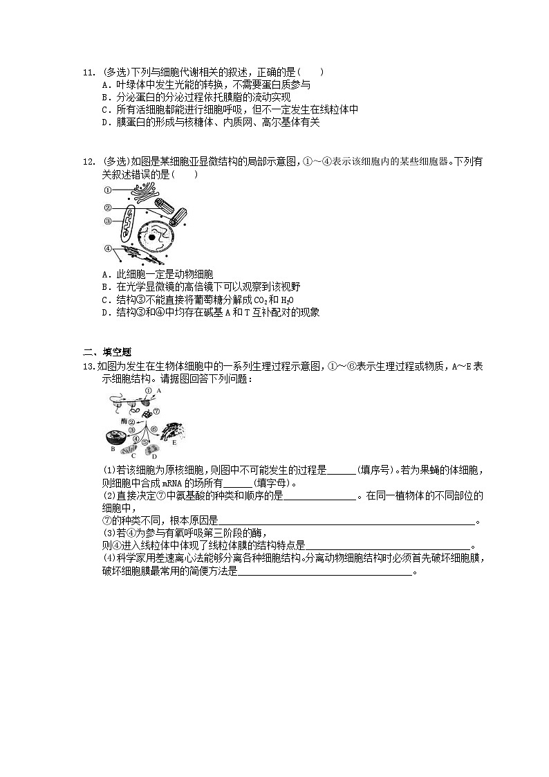高考生物一轮复习 课后作业本06 细胞器与生物膜系统 (含解析)03