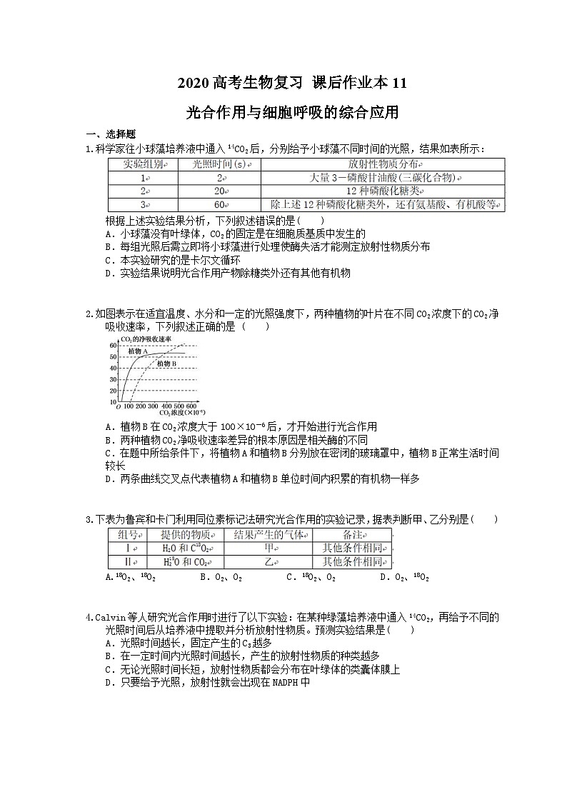 高考生物一轮复习 课后作业本11 光合作用与细胞呼吸的综合应用 (含解析)第1页