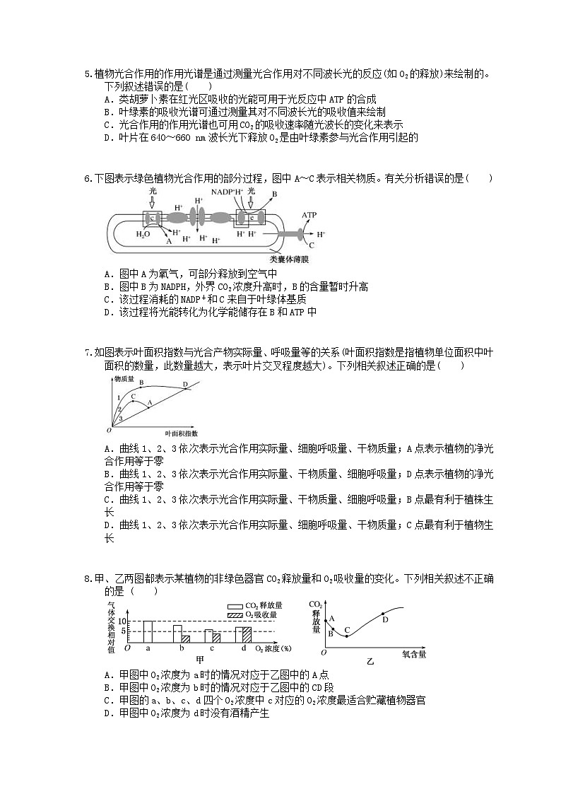 高考生物一轮复习 课后作业本11 光合作用与细胞呼吸的综合应用 (含解析)第2页