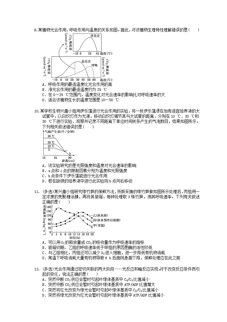 高考生物一轮复习 课后作业本11 光合作用与细胞呼吸的综合应用 (含解析)第3页