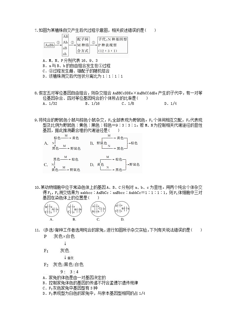 高考生物一轮复习 课后作业本16 孟德尔的豌豆杂交实验二(含解析)第2页