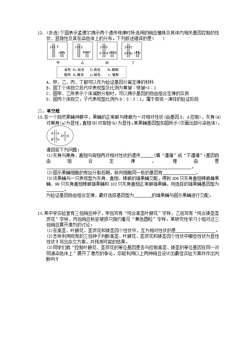 高考生物一轮复习 课后作业本16 孟德尔的豌豆杂交实验二(含解析)第3页