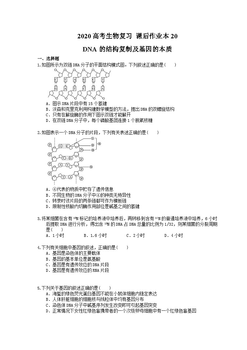 高考生物一轮复习 课后作业本20 DNA的结构复制及基因的本质(含解析)第1页