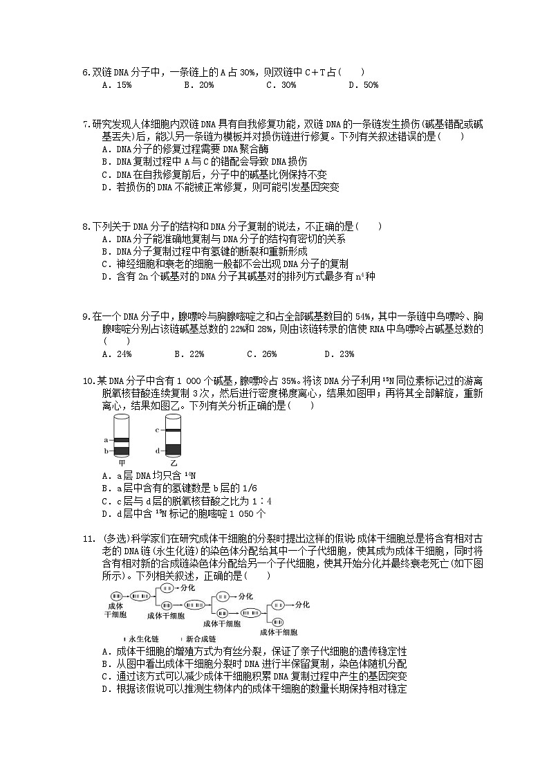 高考生物一轮复习 课后作业本20 DNA的结构复制及基因的本质(含解析)第2页