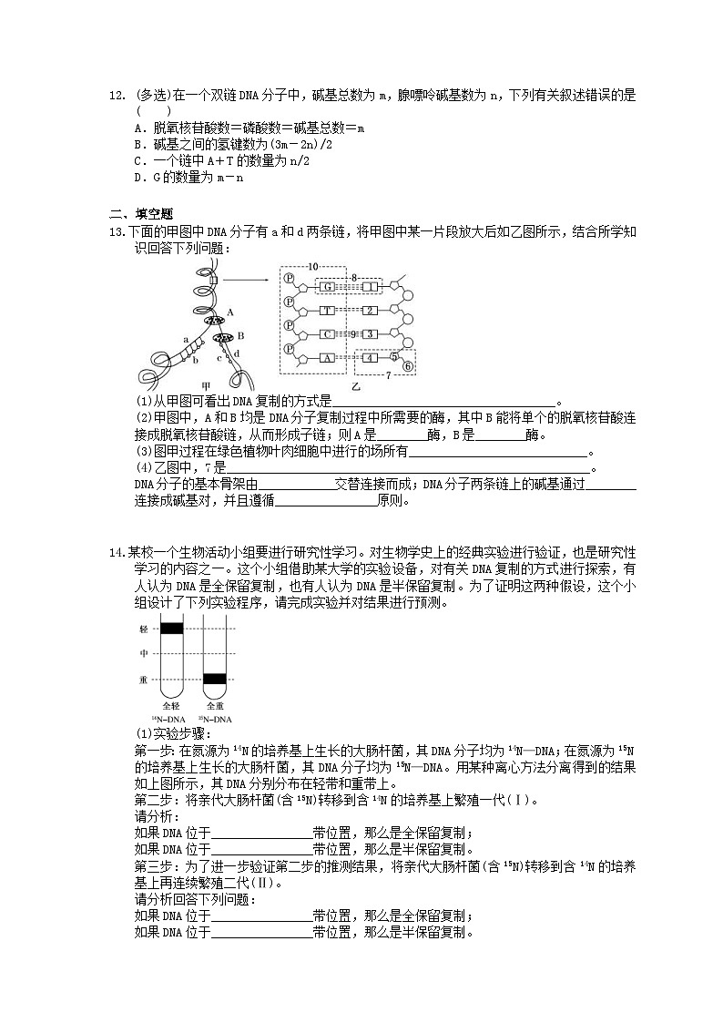 高考生物一轮复习 课后作业本20 DNA的结构复制及基因的本质(含解析)第3页