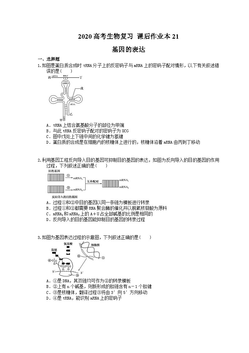 高考生物一轮复习 课后作业本21 基因的表达(含解析)第1页