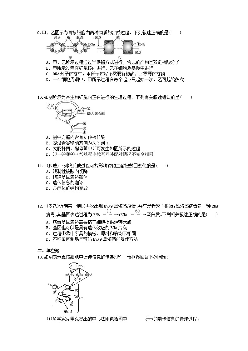 高考生物一轮复习 课后作业本21 基因的表达(含解析)第3页