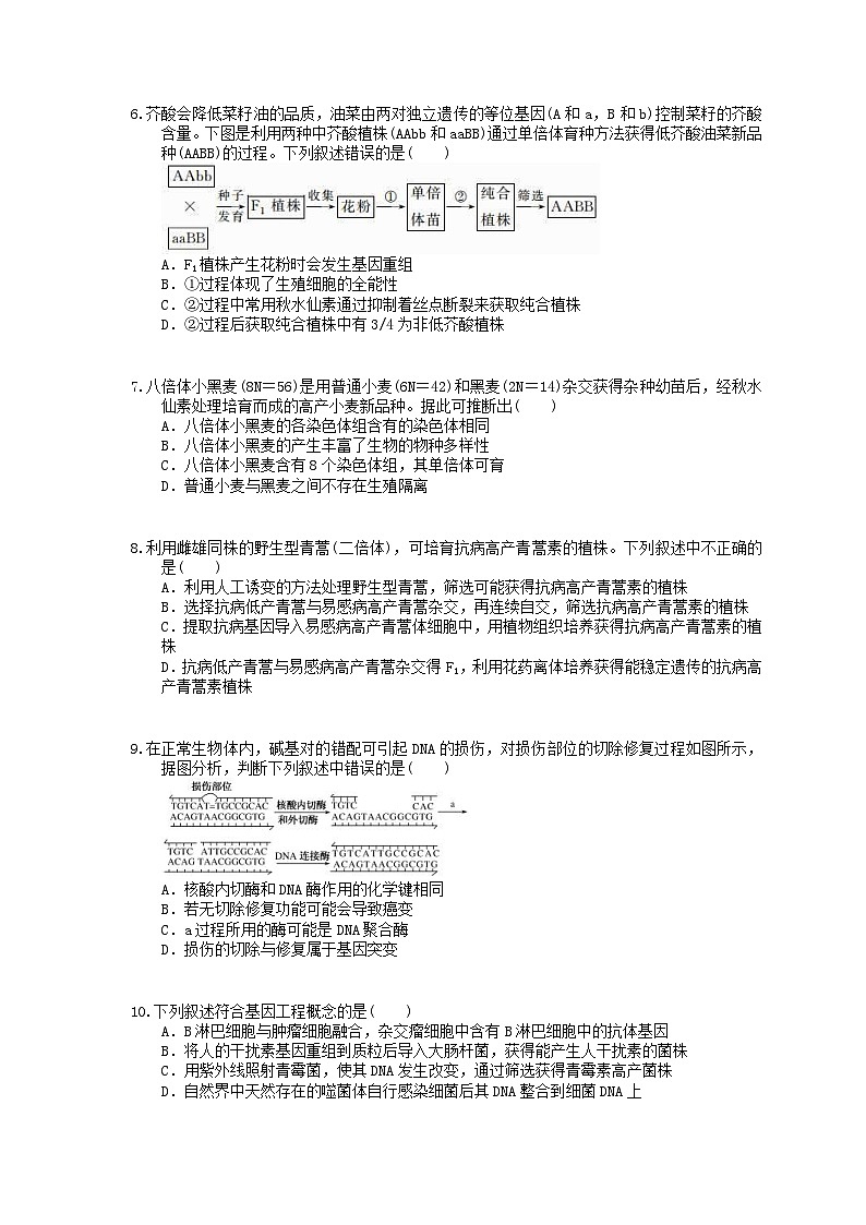 高考生物一轮复习 课后作业本24 从杂交育种到基因工程(含解析)第2页