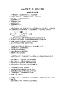 高考生物一轮单元复习 细胞的生命历程（含答案解析）