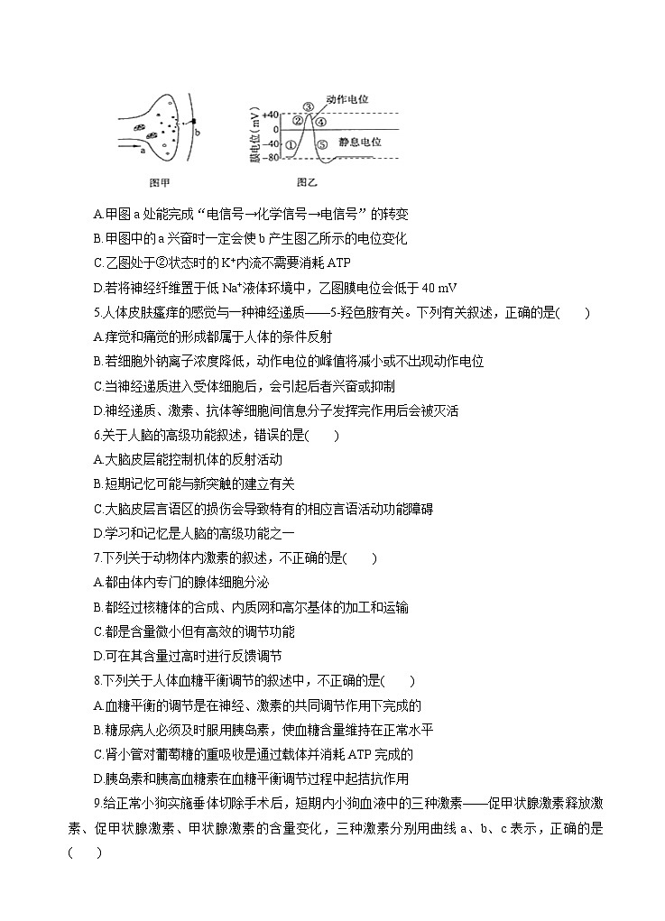 高考生物一轮单元卷：第08单元 生命活动的调节与免疫 B卷（含答案解析）第2页