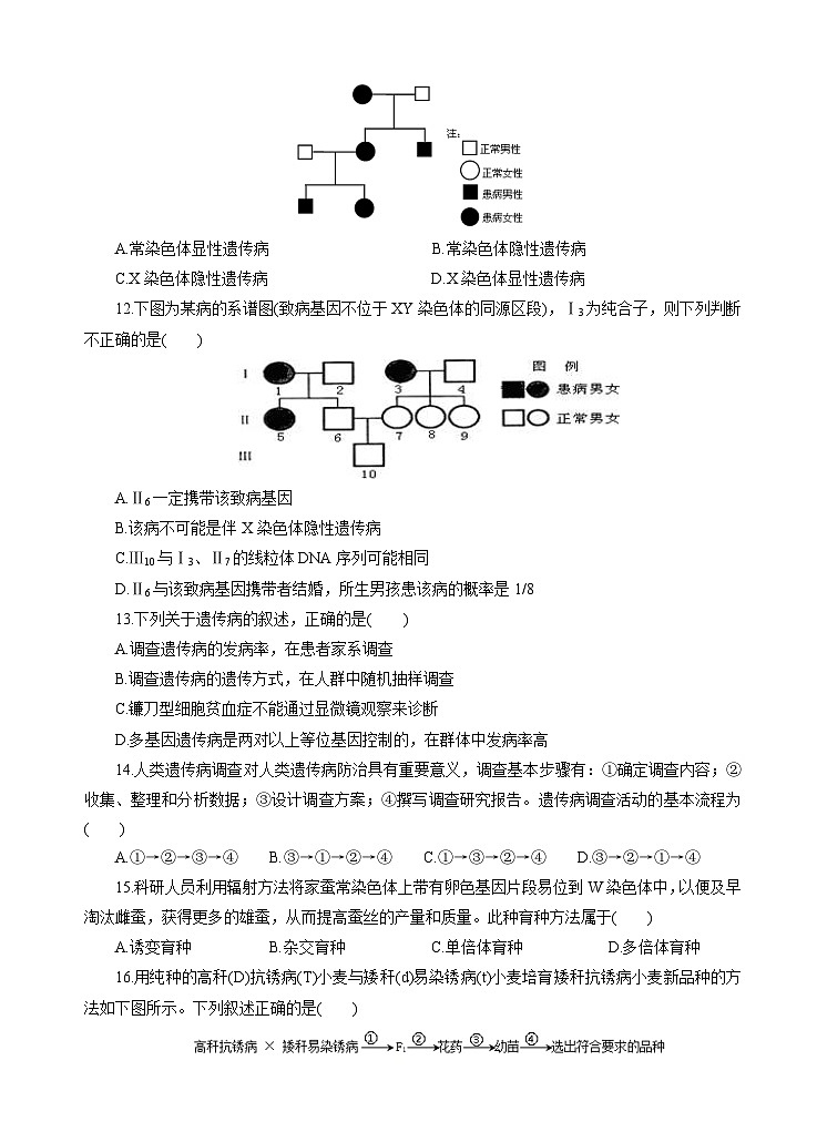 高考生物一轮单元卷：第07单元 生物的变异、育种和进化 B卷（含答案解析）第3页