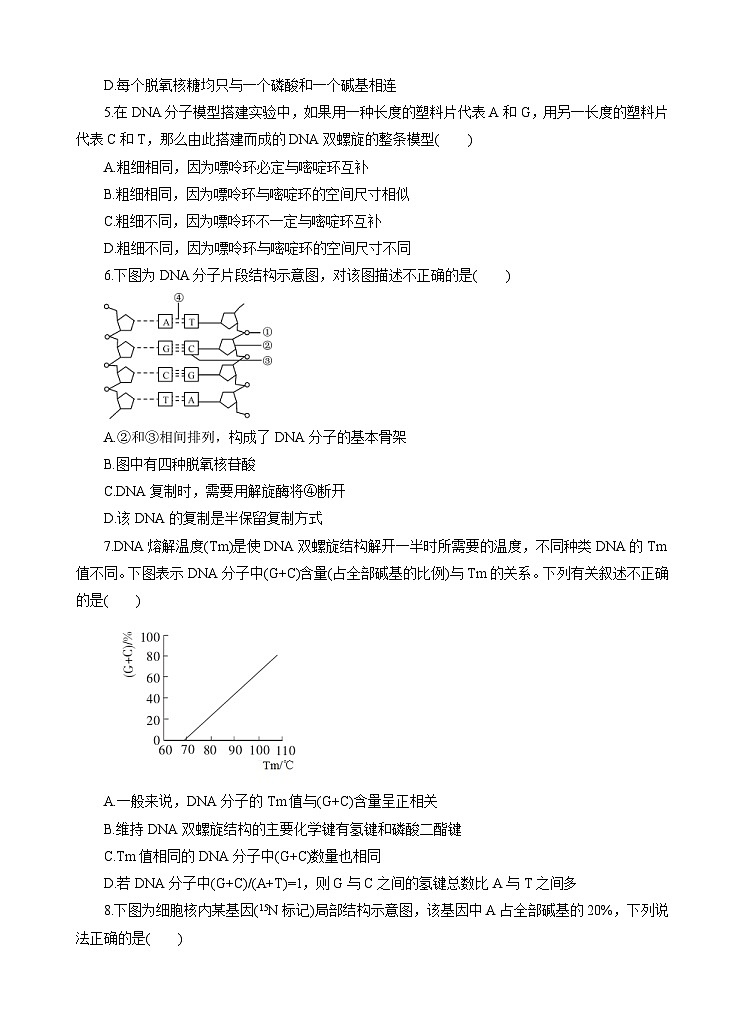 高考生物一轮单元卷：第06单元 基因的本质和表达 B卷（含答案解析）第2页