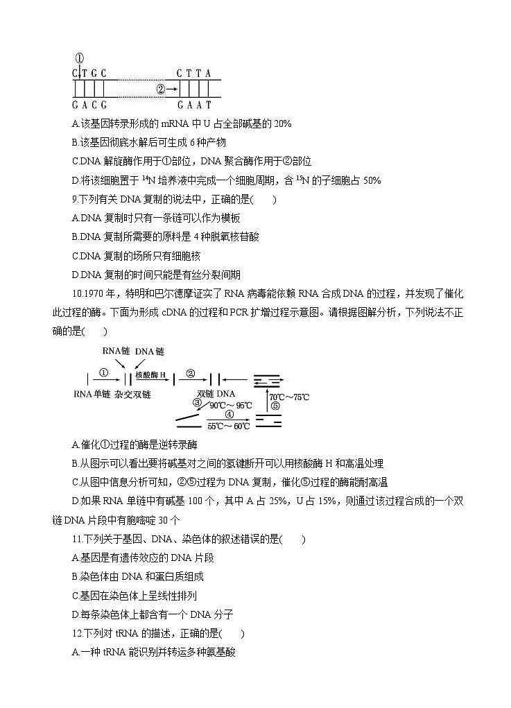 高考生物一轮单元卷：第06单元 基因的本质和表达 B卷（含答案解析）第3页