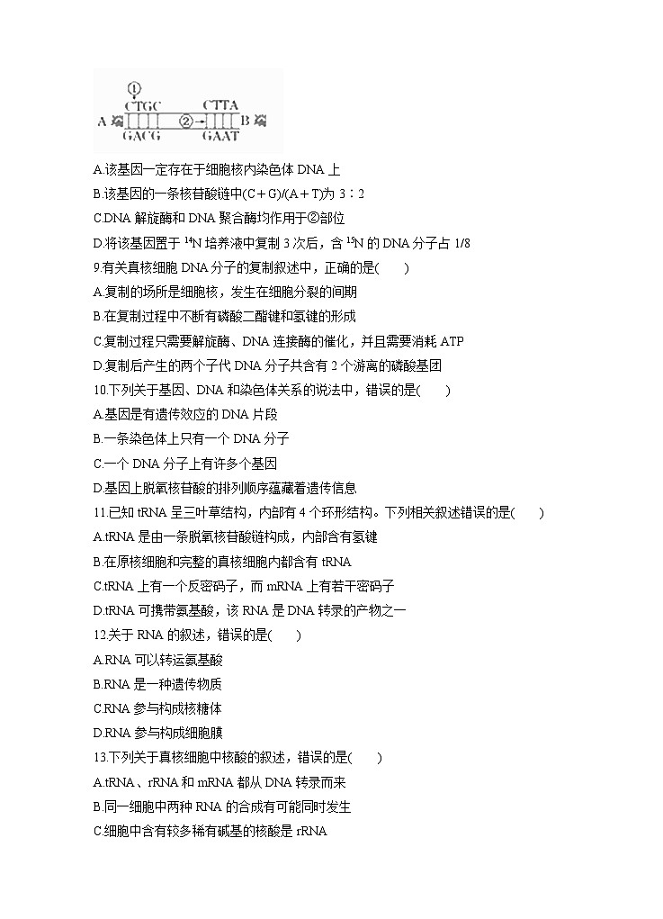 高考生物一轮单元卷：第06单元 基因的本质和表达 A卷（含答案解析）第3页