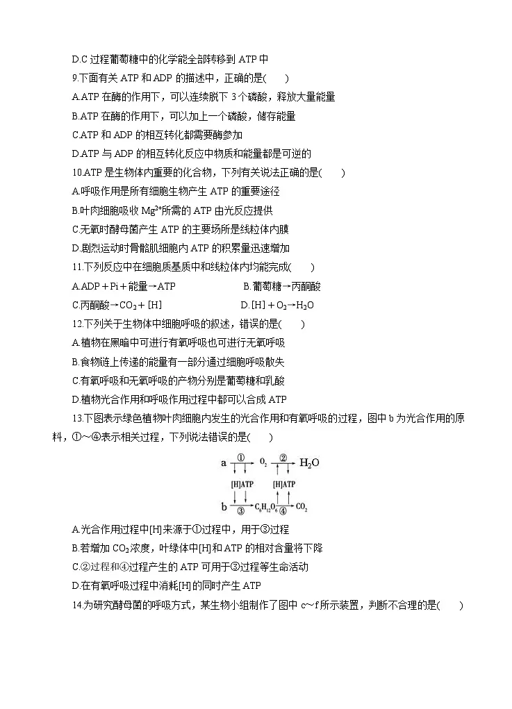 高考生物一轮单元卷：第03单元 细胞的能量供应和利用 B卷（含答案解析）第3页