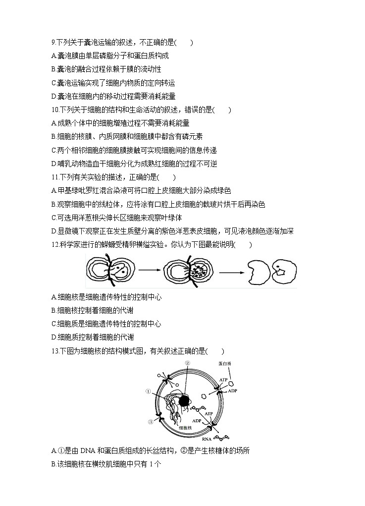 高考生物一轮单元卷：第02单元 细胞的结构和物质的输入、输出 B卷（含答案解析）第3页