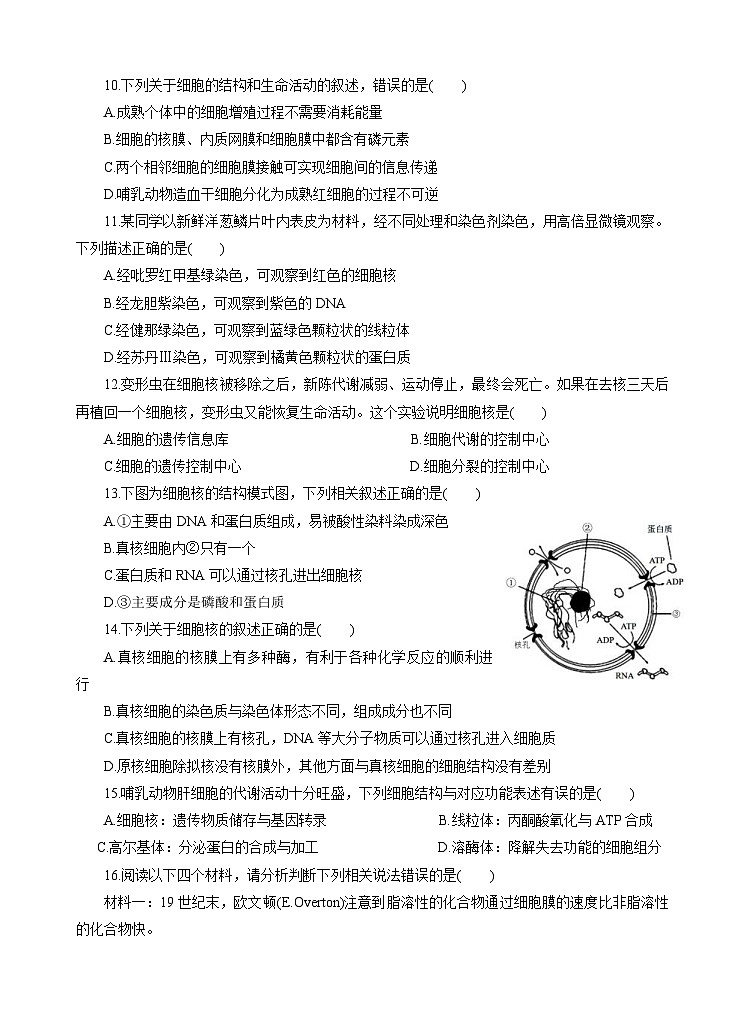 高考生物一轮单元卷：第02单元 细胞的结构和物质的输入、输出 A卷（含答案解析）第3页