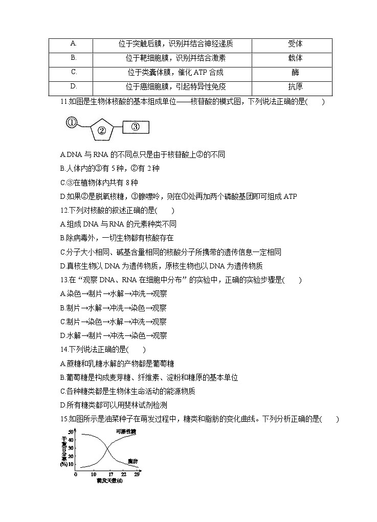 高考生物一轮单元卷：第01单元 走近细胞与细胞的分子组成 A卷（含答案解析）03